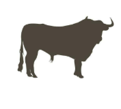 buffalo logo