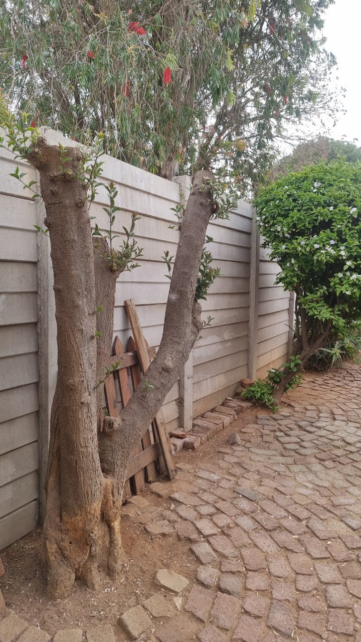 Studio Garden